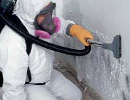 Mold Remediation for Vacation Homes in Ransom Canyon, TX